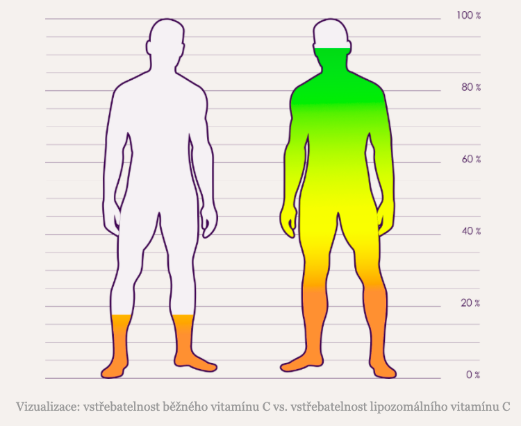 Vizuální přehled vstřebatelnosti běžného vitamínu a liposomálního vitamínu